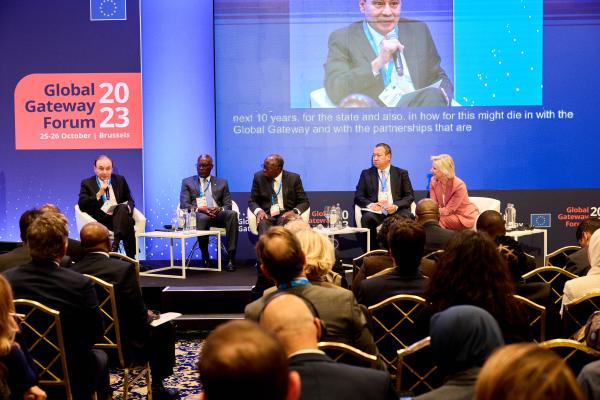 Parallel Leaders' sessions - Critical raw materials